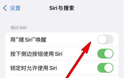 泰兴苹果13维修分享iPhone 13怎么唤醒 Siri  